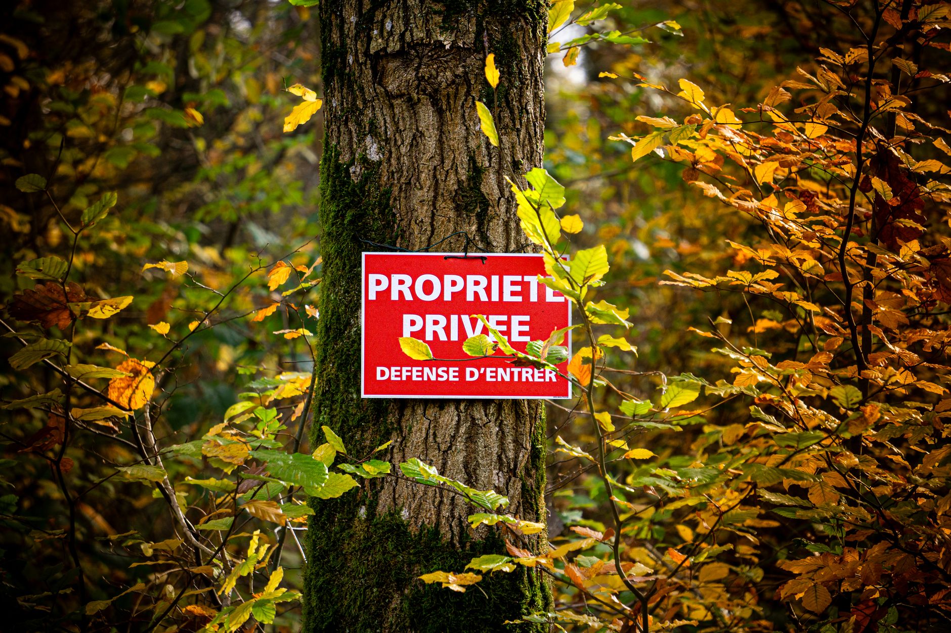Détective privé à Béziers